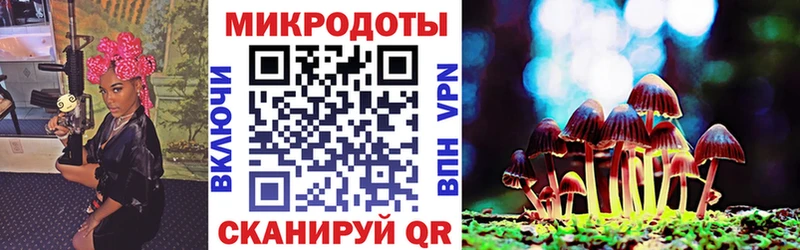 KRAKEN как войти  как найти закладки  Ахтырский  Псилоцибиновые грибы Psilocybe 